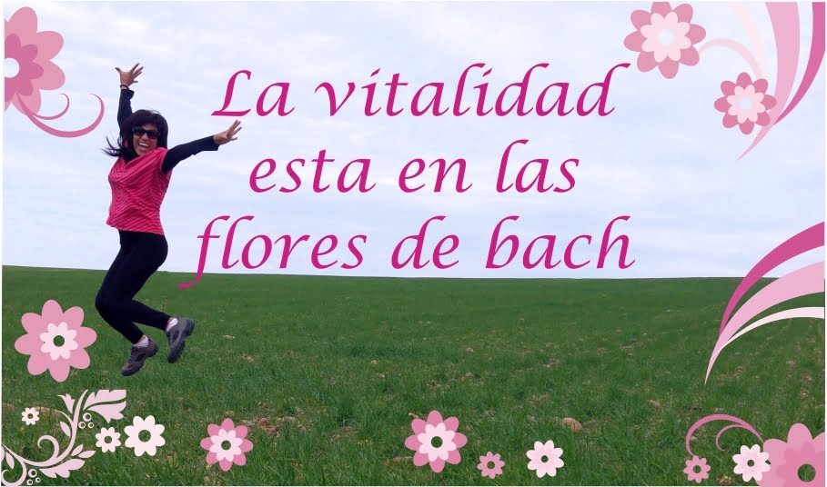 Razones para tomar flores de Bach