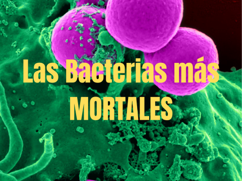 Las BACTERIAS más SALVAJES y MORTALES
