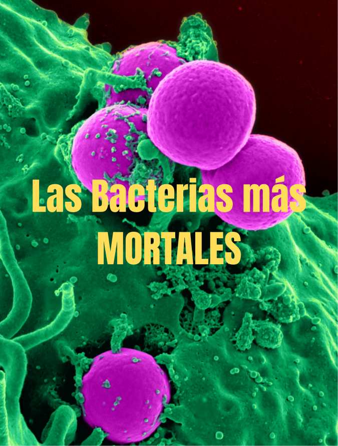 Las BACTERIAS más SALVAJES y MORTALES